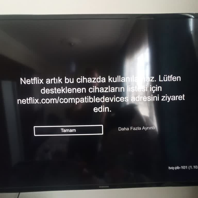 Netflix Samsung TV'de Çalışmıyor Çözüm İstiyoruz