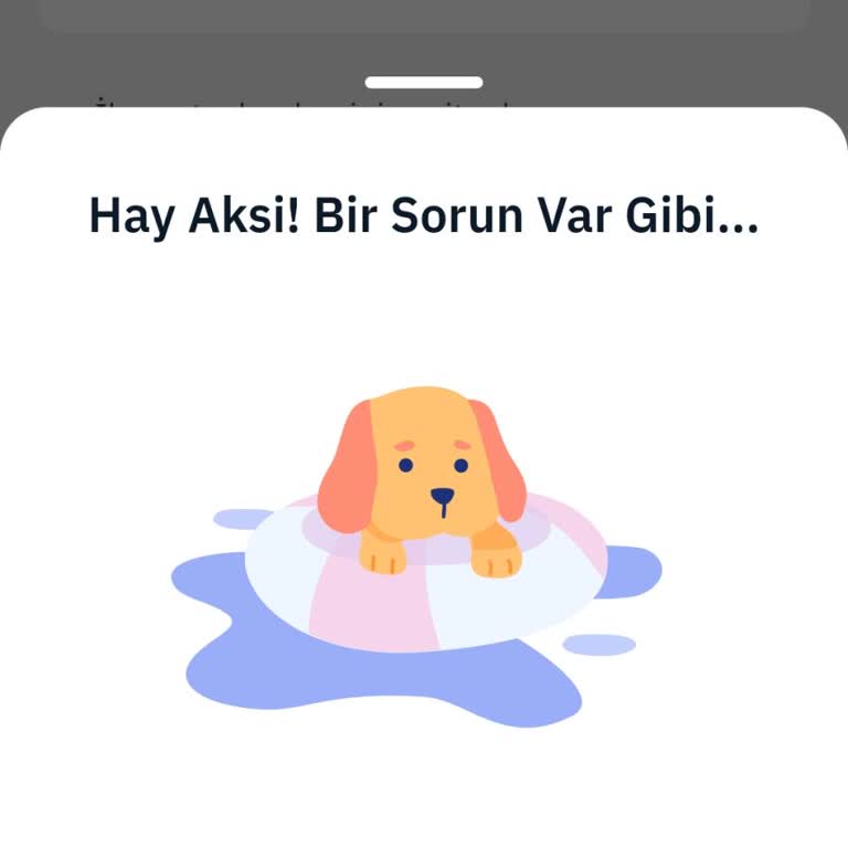 MoneyPay Kimlik Doğrulama Hata Veriyor