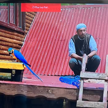 PHILIPS TV Cl Plus KEY Fail Yazısı Çıktı