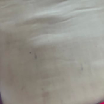 Temizlik Bodrum Bodrum Best Temizlik Ve Yaşadığım Pişmanlık