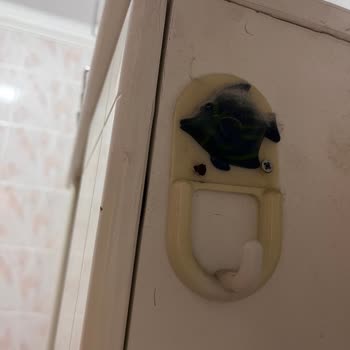 Temizlik Bodrum Bodrum Best Temizlik Ve Yaşadığım Pişmanlık