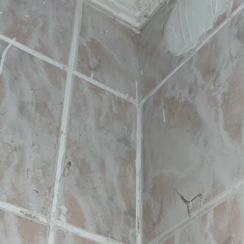 Temizlik Bodrum Bodrum Best Temizlik Ve Yaşadığım Pişmanlık