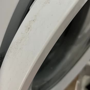 Temizlik Bodrum Bodrum Best Temizlik Ve Yaşadığım Pişmanlık