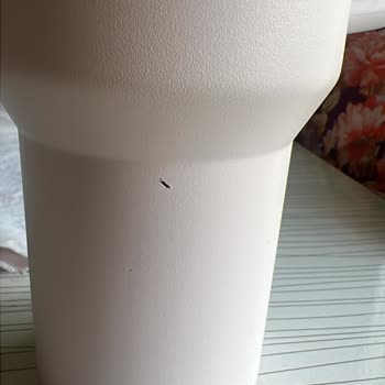 Stanley Quencher Pipetli Termos Sorunu
