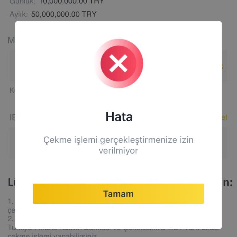 Binance Hesabım İncelemeye Alındığı İçin Paramı Çekemiyorum