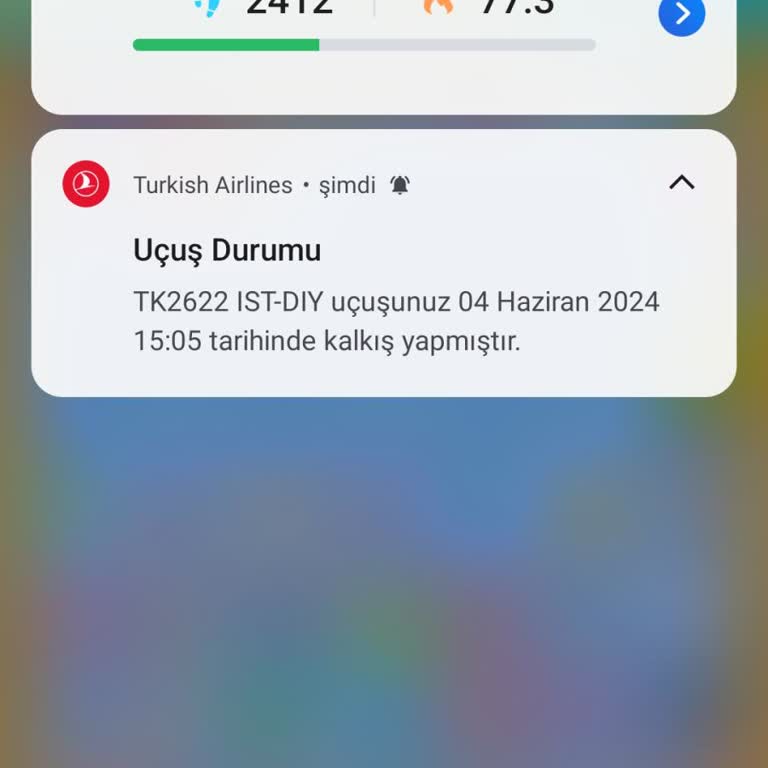 THY Uçuş Gecikmesi Mağduriyeti