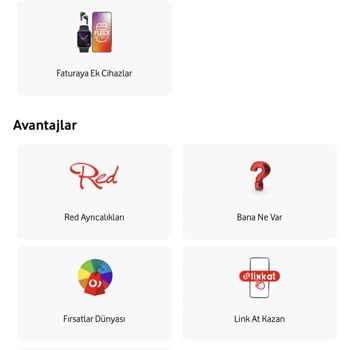 Vodafone Red Ayrıcalıklarına Erişemiyorum Ve FreeZone Başvuruma Yanıt-