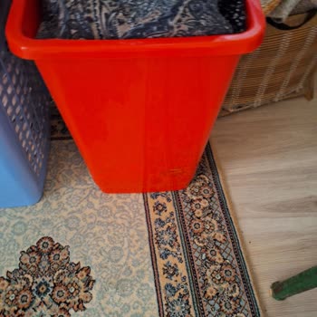 Samsung Telefon A54 Kötü Resim Kalitesi