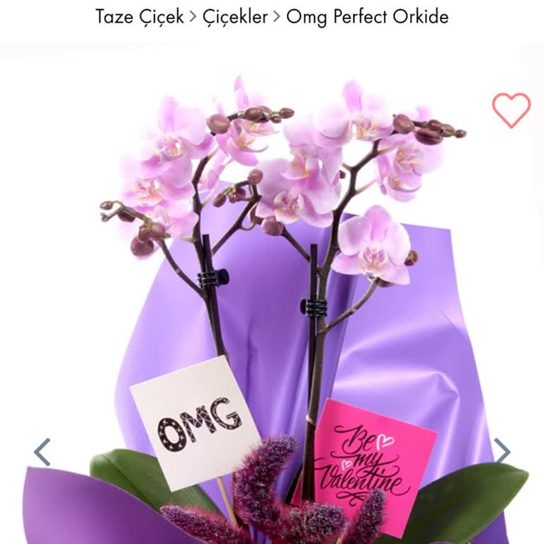 Taze Çiçek (tazecicek.com) Görselle Alakasız Orkide Ve Kötü Hizmet