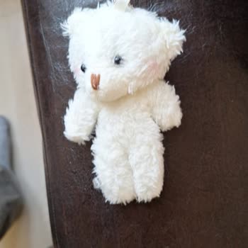 Aliexpress Çanta Yerine Anahtarlık Geldi