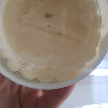 İçim Süt ve Süt Ürünleri İçim Tereyağı Küflendi