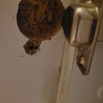 Modoko Çilek Mobilya Kaydımızı Silmiş