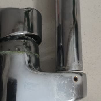 Creavit, Sen De Mi Brütüs?