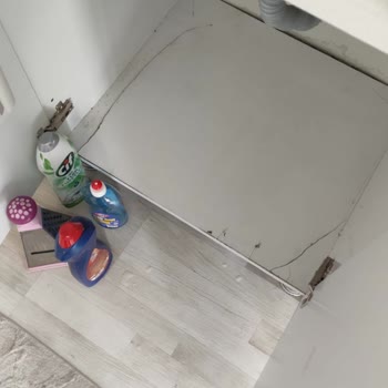 Creavit, Sen De Mi Brütüs?