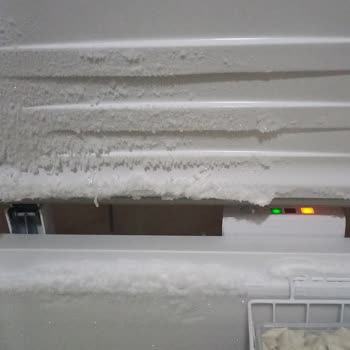 Altus Marka Derin Dondurucunun Para İademi İstiyorum Sorunum Çözülsün