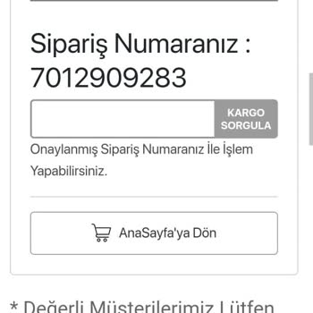 Dyson-airwap.com.tr /internet Sahte Site