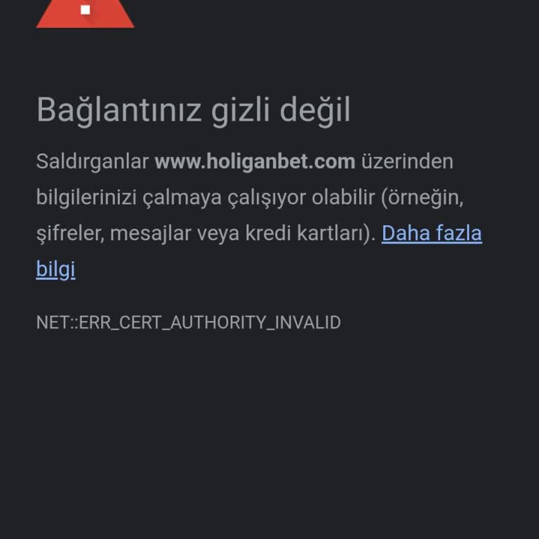 Holiganbet Bağlantı Sorunu Giriş Yapamıyorum