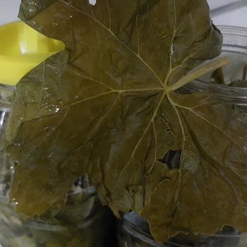 Yasmin Doğal (ege_salamur_) Aldığım Ürünler Kusurlu Çıktı Ve İade Taleplerim Reddedildi