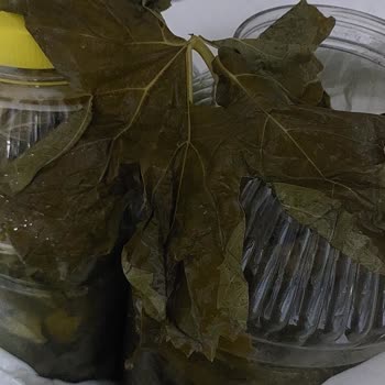 Yasmin Doğal (ege_salamur_) Aldığım Ürünler Kusurlu Çıktı Ve İade Taleplerim Reddedildi