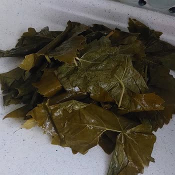 Yasmin Doğal (ege_salamur_) Aldığım Ürünler Kusurlu Çıktı Ve İade Taleplerim Reddedildi