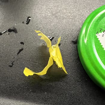 A101 Biber Turşusunda Yabancı Bir Cisim Çıktı