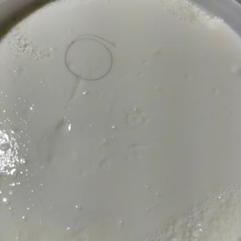 Tarım Kredi Kooperatifi Yoğurtun İçinden Kıl Çıktı