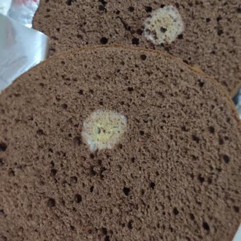 A101 Küflü Pandispanya Keki