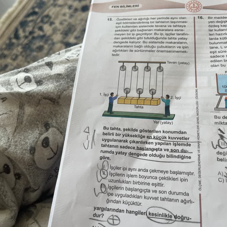Milli Eğitim Bakanlığı (MEB) LGs2024 Fen Sorusu