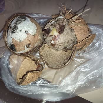 BİM Hindistan Cevizlerini Kontrol Etmeli