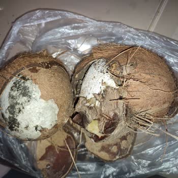 BİM Hindistan Cevizlerini Kontrol Etmeli