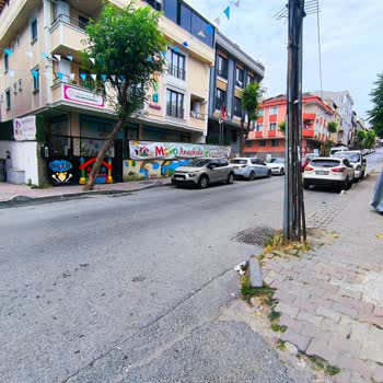 Bahçelievler Belediyesi Bahçelievler Belediyemizden Ağaçlandırma Yapılması Rica Ediyorum