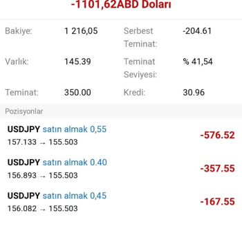 Ig Group 'un Yatırım Vaadi Ve Hüsran