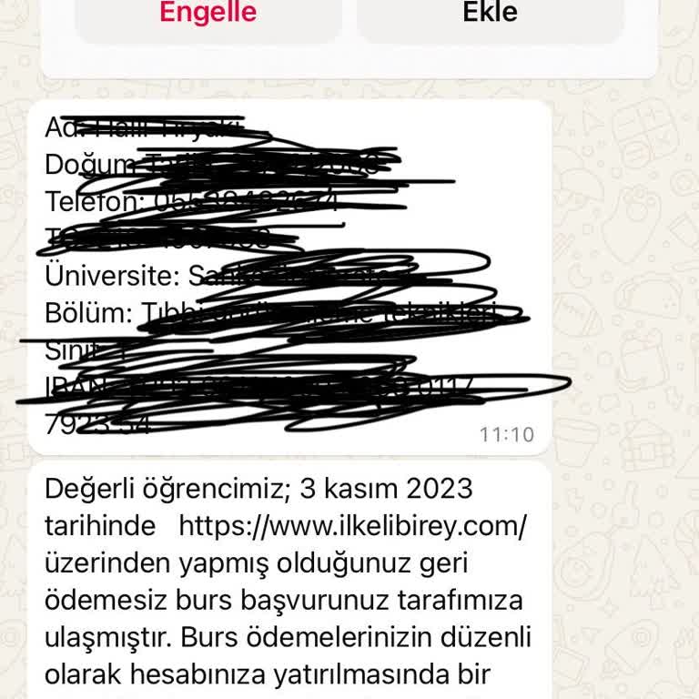 Finans Kuruluşları Adıyla Dolandırıcılık İlkeli Birey Yardım Bursu