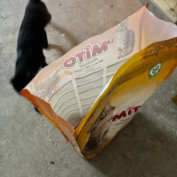 Temiz Mama 2. Kez Küflenmiş Mama Teslimatı