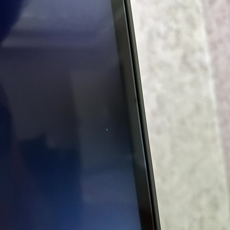 PHILIPS TV Philips 75PML9008 Ölü Piksel