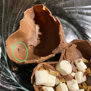 Patiswiss Chocolate Bomb Muzlu Sütlü Çikolata Böcekli Çıktı!