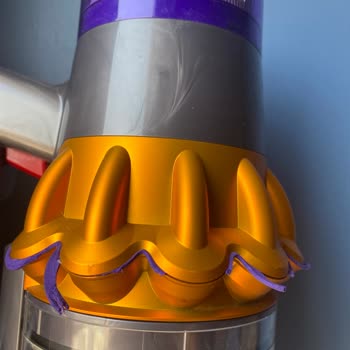 Dyson Çiçek Kısmı Soyuluyor