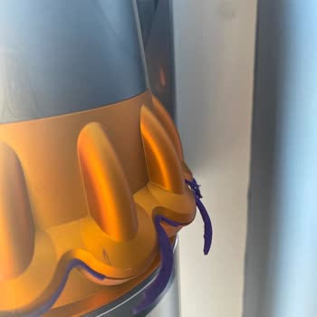 Dyson Çiçek Kısmı Soyuluyor