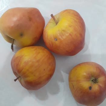 Şok Marketleri Ve Müşteri Hizmetleri