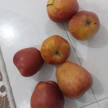 Şok Marketleri Ve Müşteri Hizmetleri