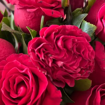 Çiçek Sepeti Her Zaman Rezil Ve Özensiz