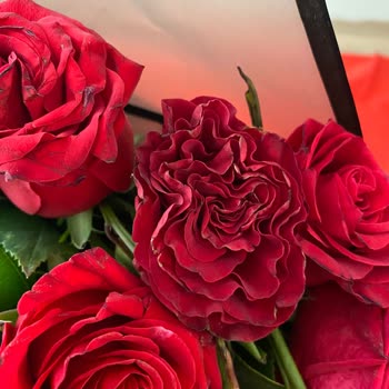 Çiçek Sepeti Her Zaman Rezil Ve Özensiz