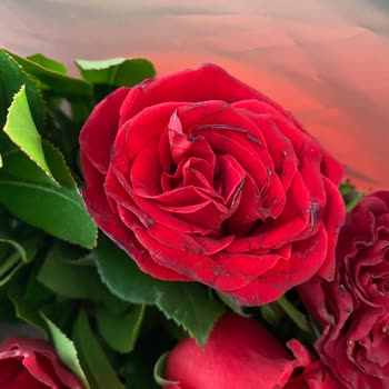 Çiçek Sepeti Her Zaman Rezil Ve Özensiz