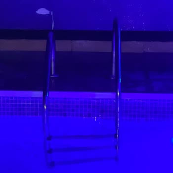 Antares GYM Fit Havuz Merdiveni Kırık, Yaralanmaya Sebebiyet