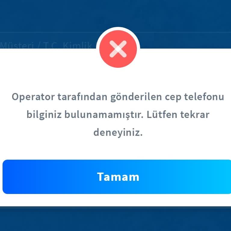 Halkbank Uygulamasına Giriş Sorunu
