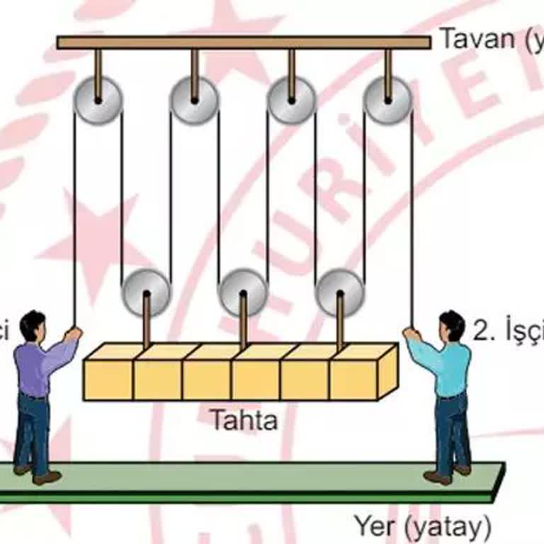 Milli Eğitim Bakanlığı (MEB) LGS 2024 Fen Bilimleri 13. Sorusu Hatalı, İptal Edilmeli!
