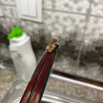 OG Natural (ogstore.com.tr) Organik Bebek Zeytinyağı Böcek Şikayeti