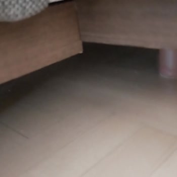 Enza Home Enza Köşe Hayal Kırıklığı