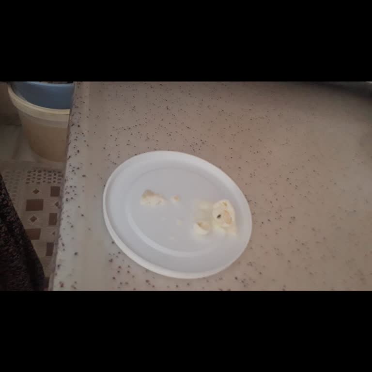 Milupa Bebek Maması İçinden Böcek Çıktı!