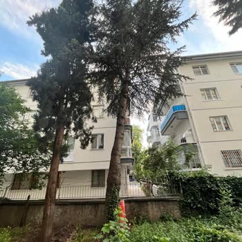 Keçiören Belediyesi'nin Ağaç Kesimi Konusundaki İlgisizliği